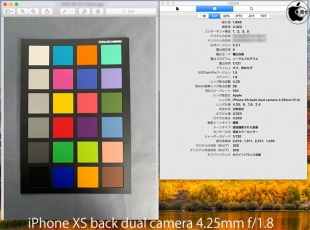 iPhone XS back dual camera 4.25mm f/1.8