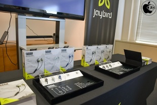 Jaybird