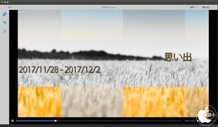 Adobe Elements Organizer 2019