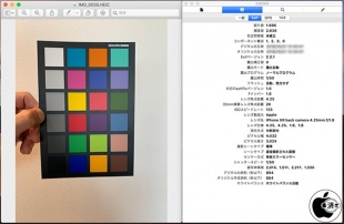 iPhone XR:背面広角カメラ