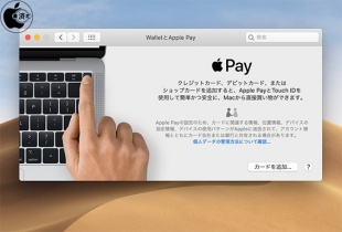 Apple Pay
