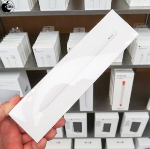 Apple Pencil (2nd generation)