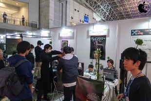 ブレインツリー(2018)