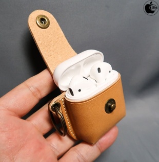 Hevitz AirPods Case