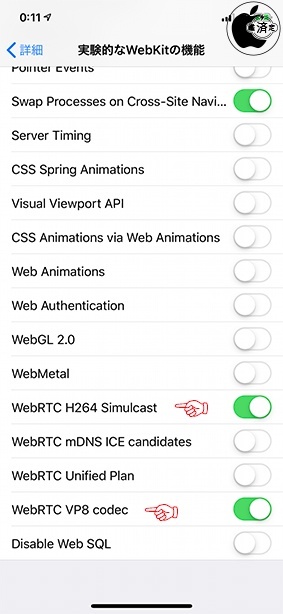 iOS 12.2：Safari WebRTC