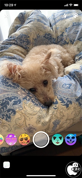 Facebook Messenger 206.0