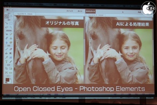 Adobe Photoshop Elements 2018