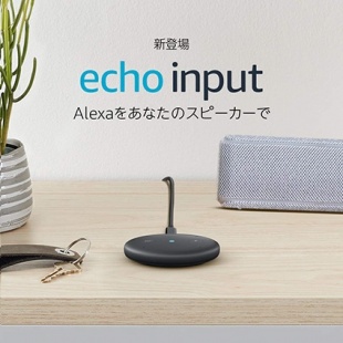Amazon Echo Input