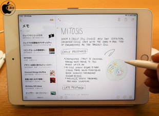 iPad mini (5th Generation)