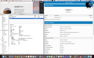 macOS Mojave 10.14.5:AMD Radeon VII