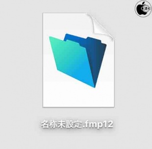 .fmp12