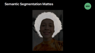 Semantic Segmentation Mattes