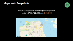 Maps Web Snapshots