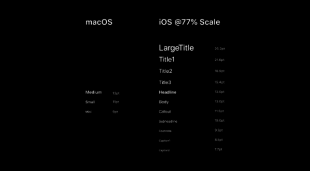 フォントスケール表示