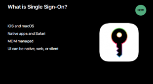 What is Single Sign-On?