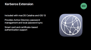 Kerberos Extension