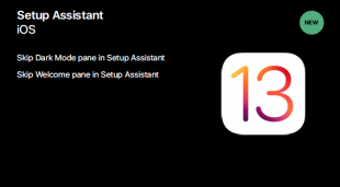 iOS 13