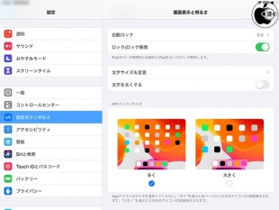 iPadOS 13.1：画面表示と明るさ