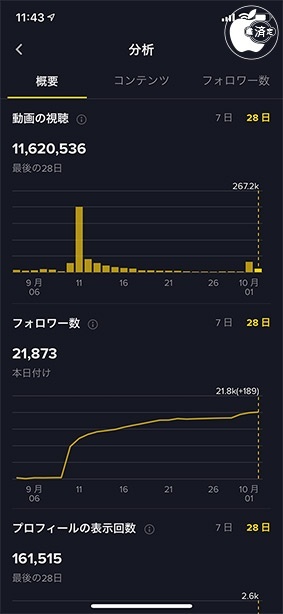 TikTokプロアカウント