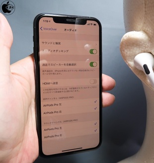 VoiceOver：オーディオ