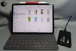 WD_BLACK P50 Game Drive SSD：iPad Pro (11-inch)