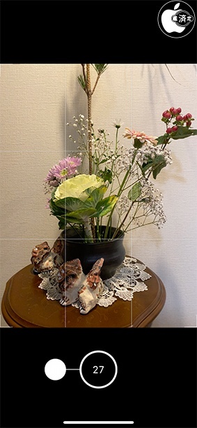 iPhone 11/11 Pro/11 Pro Max：バーストモード