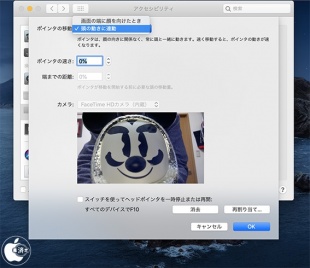 macOS Catalina 10.5.4：ヘッドポインタ