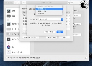 macOS Catalina 10.5.4：代替ポインタアクション