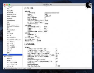 SMP製4468mAh（12914mV）