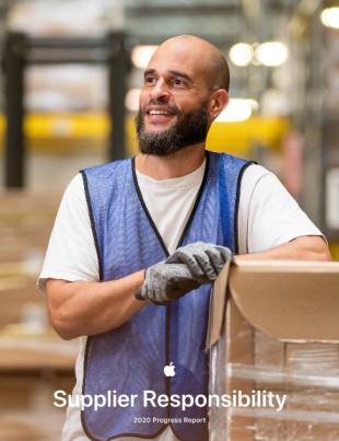 2020年の進捗報告書