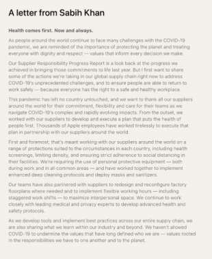 2020年の進捗報告書