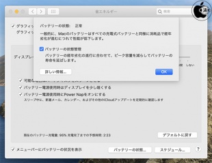 macOS Catalina 10.15.5:バッテリー状態管理