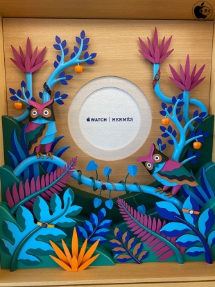 Apple Watch Series 6 Hermès