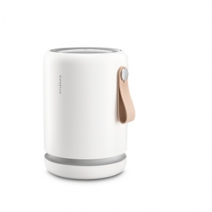 Molekule Air Mini+