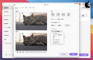Wondershare UniConverter for Mac