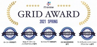 ITreview Grid Award 2021 Spring