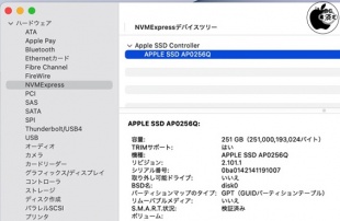 APPLE SSD AP0256Q