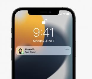 User Notifications API