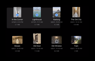 コレクション ビュー