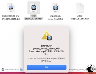 破損した画像と動画ファイル