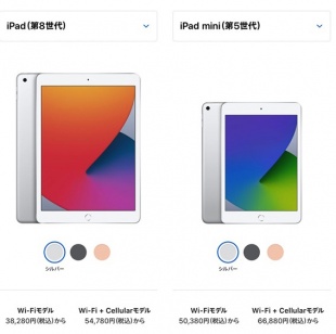 iPad/iPad mini