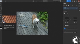 Adobe Photoshop web版