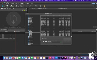 VideoPad for Mac