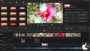 VideoProc Vlogger for Mac:エフェクト