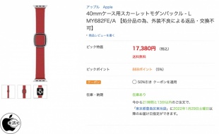 Apple 40mmケース用スカーレットモダンバックル - L