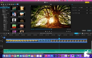 iMyFone Filme Mac：オーディオ