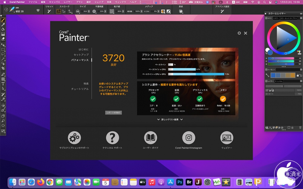 ソースネクスト CorelPainter2022 Corel Painter 2022 for Windows シリアルコード版 通販 