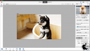 理想的な風景写真
