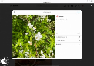 Instagram：Safari for Mac