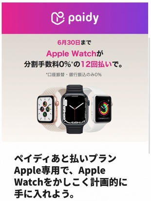 ペイディあと払いプランApple専用